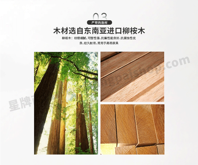 国产三级电影一区二区 星牌中式钢库台球桌XW8103-9A
